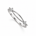 The Croisé Ring