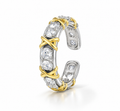 The Bicolore Ring
